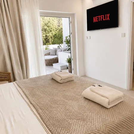 Apart Otel Delmar Syros 5*